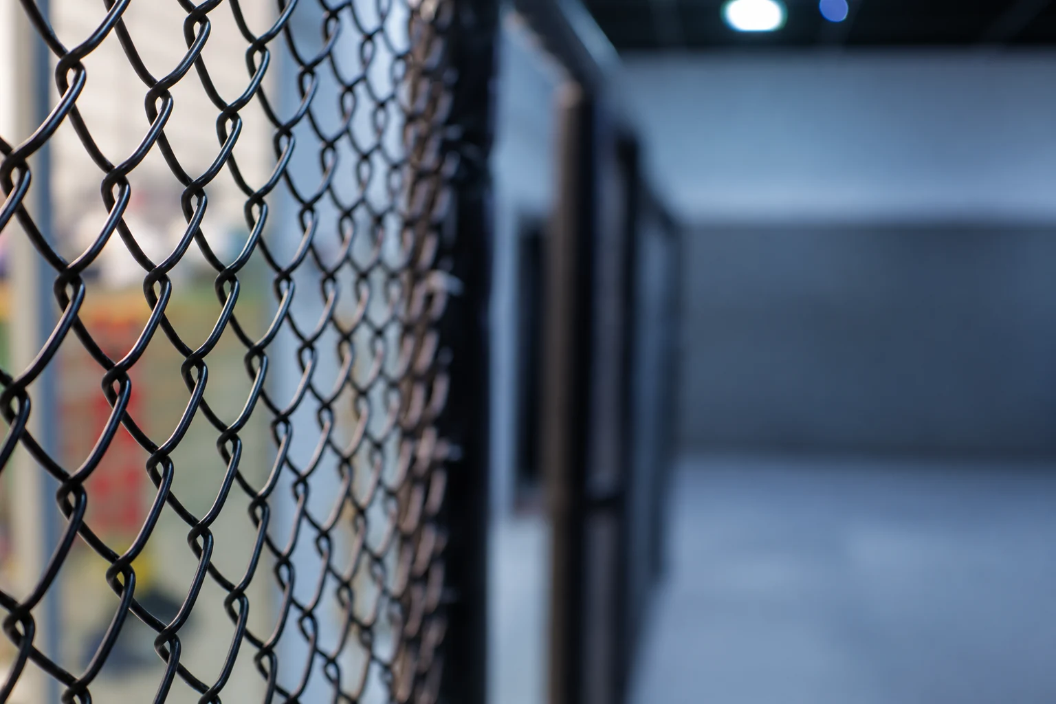 Dettaglio della rete dell’area MMA