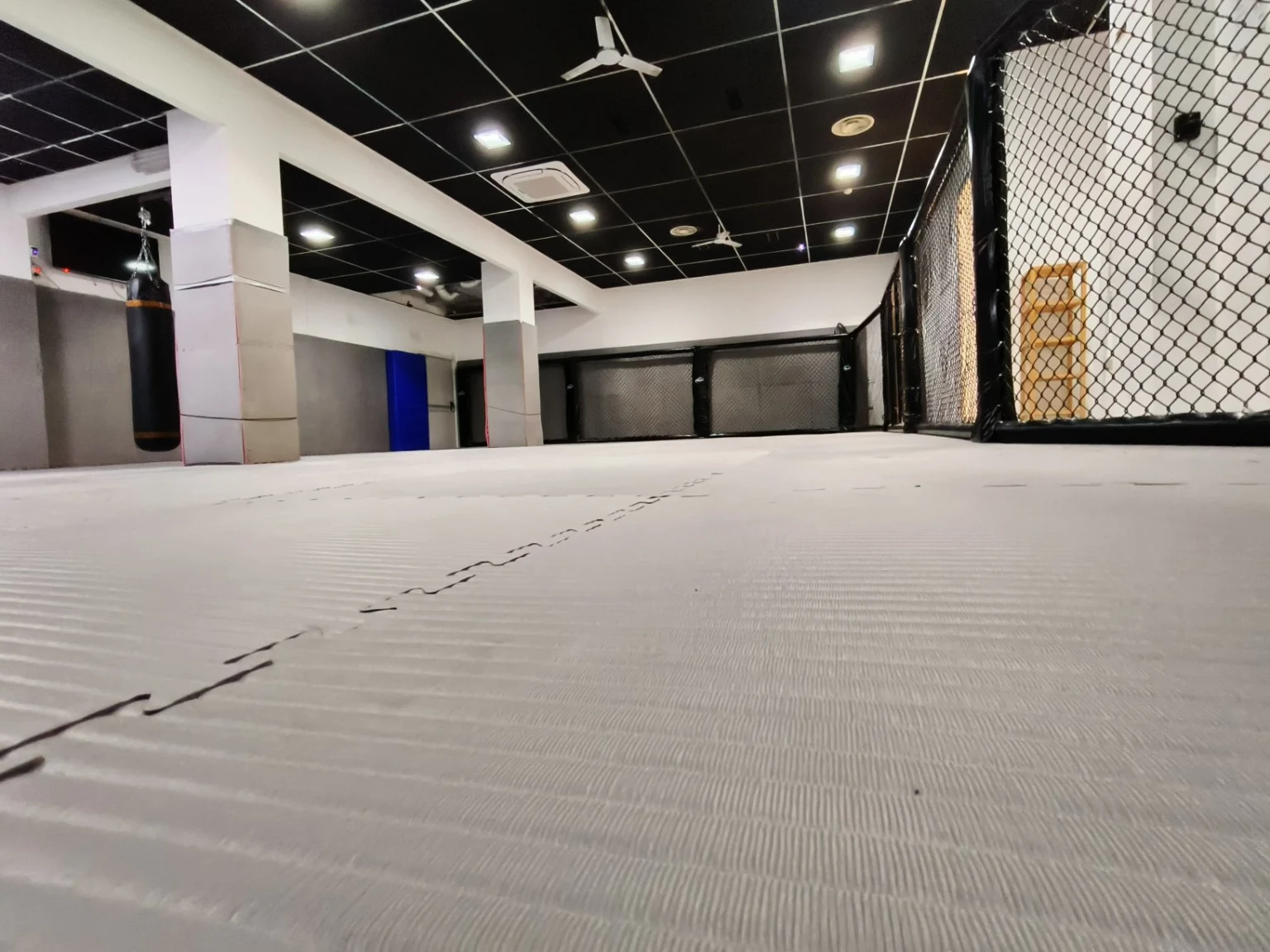 La sala con tatami e gabbia perimetrale del Torino Fighting Center